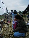 Corn Maze - Jefferson, October 16th, 2004